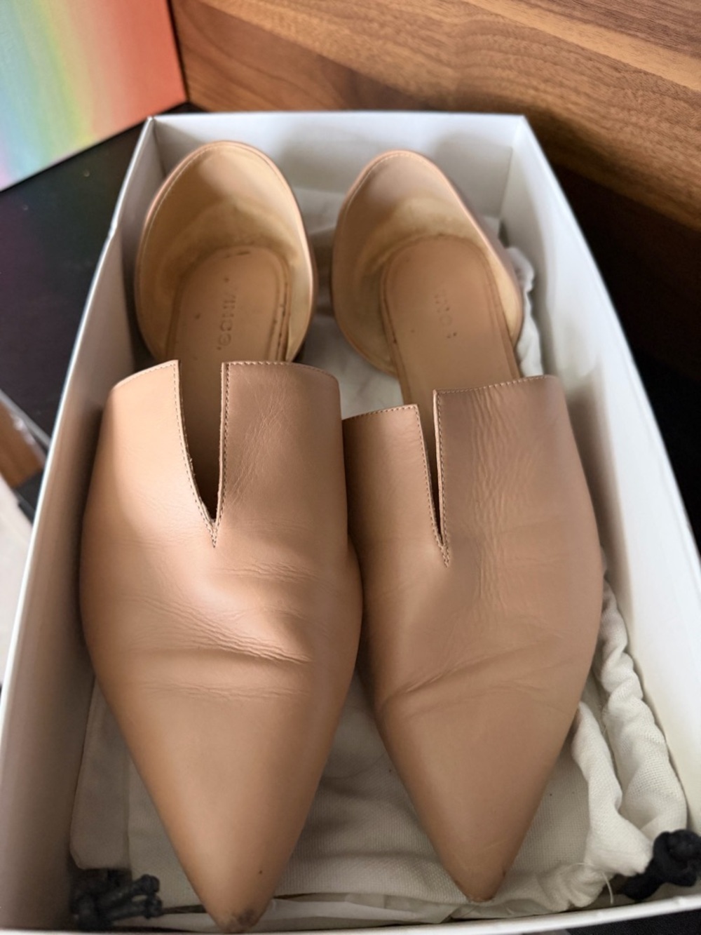 Vince Darlington nude pointed flat
